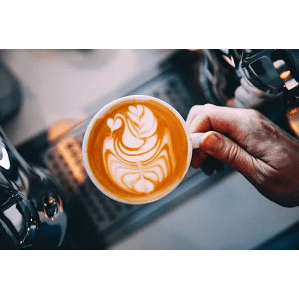 DeLonghi Melkkan Magnifica START-EVO / DLSC035