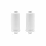 AllSpares Fluoride en Arseen Waterfilter (2St.) geschikt voor zwaartekrachtfiltersyteem AS-WD010