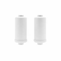 AllSpares Fluoride en Arseen Waterfilter (2St.) geschikt voor zwaartekrachtfiltersyteem AS-WD010