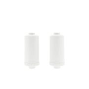 AllSpares Fluoride en Arseen Waterfilter (2St.) geschikt voor zwaartekrachtfiltersyteem AS-WD010
