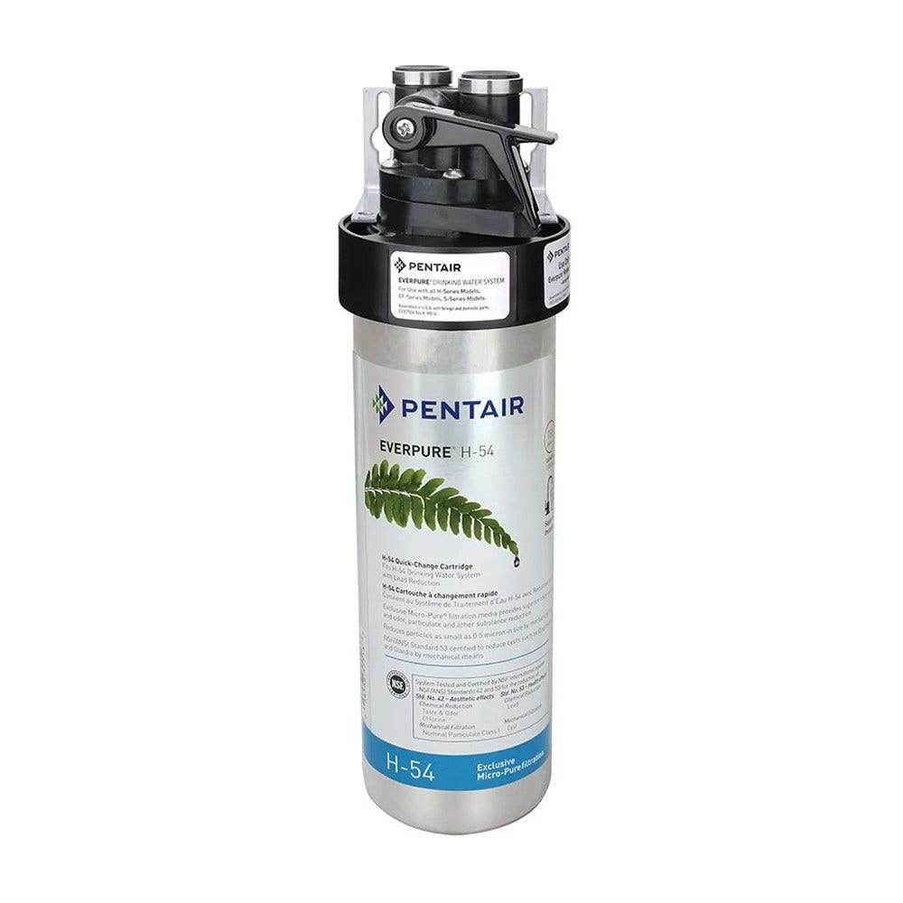Everpure Vervangingsfilter H-54