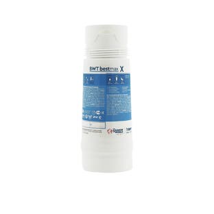 BWT Bestmax X Waterfilterpatroon FS20I00A00