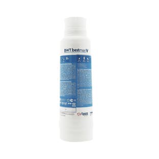 BWT Bestmax V Waterfilterpatroon FS23I00A00