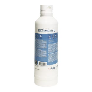 BWT Bestmax L Waterfilterpatroon FS26I00A00
