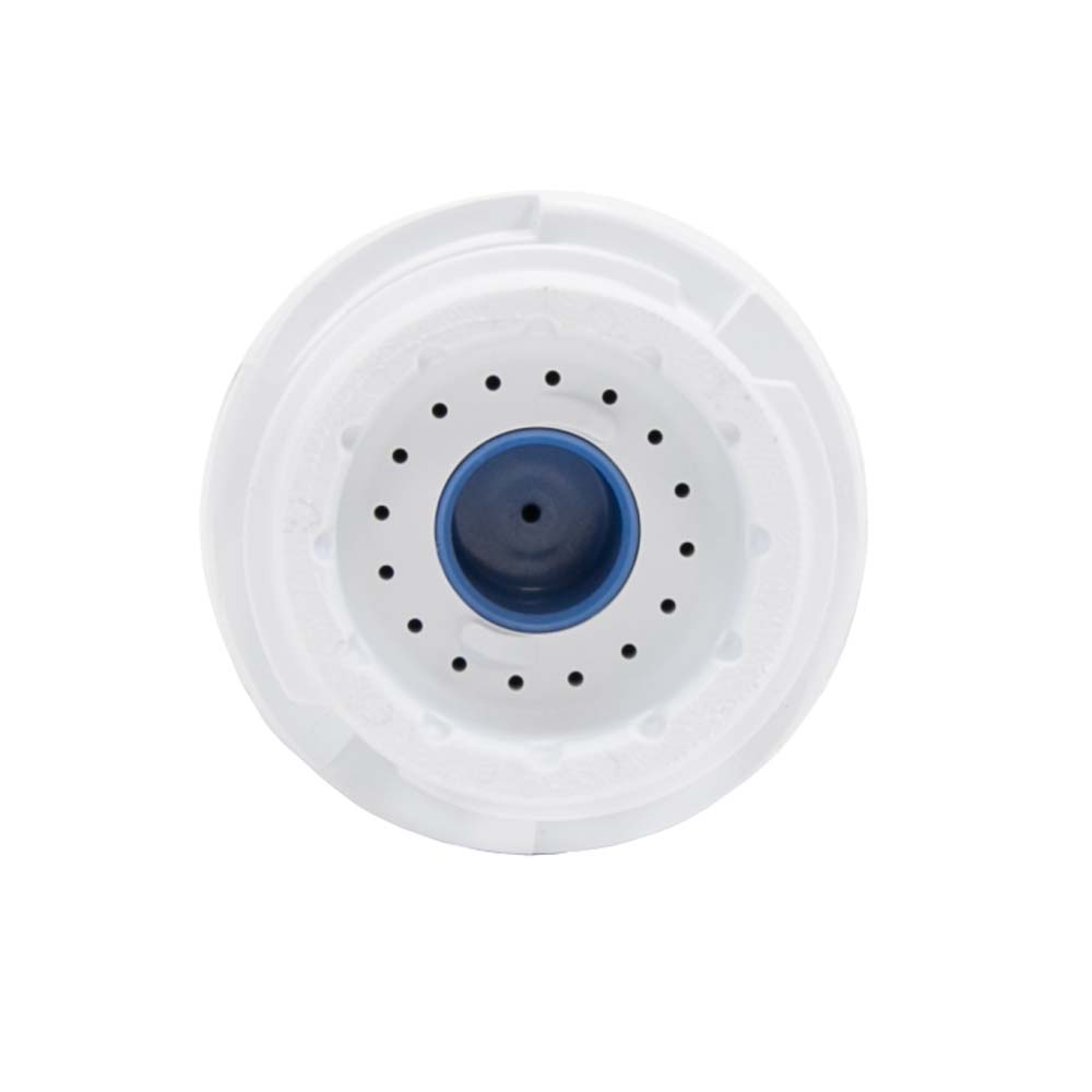 GE Waterfilter GSWF